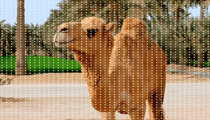 Research at Stanford Introduces PointOdyssey: A Large-Scale Synthetic Dataset for Long-Term Point Tracking