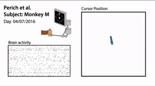 This AI Paper Introduces POYO-1: An Artificial Intelligence Framework Deciphering Neural Activity across Large-Scale Recordings with Deep Learning
