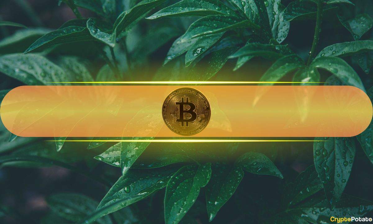 Ark Invest Says Bitcoin Could Be Worth $2.3M If This Happens