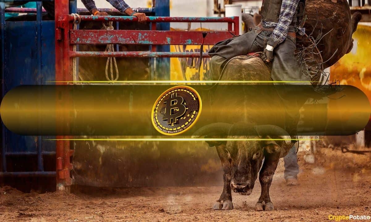 Bitcoin Supply in Profit Ratio Surges Close to Bull Market Peak Levels
