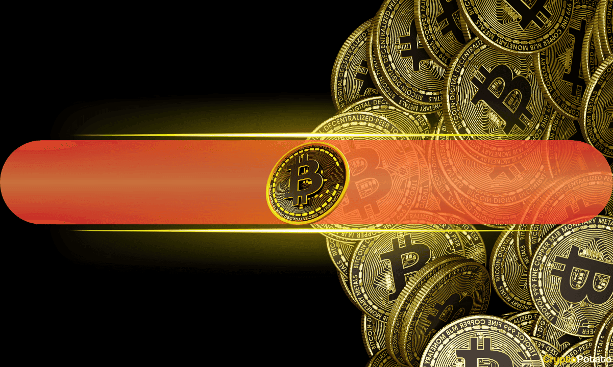 Bitcoin Accumulation Addresses See Record Inflows as Correction Risk Looms: CryptoQuant