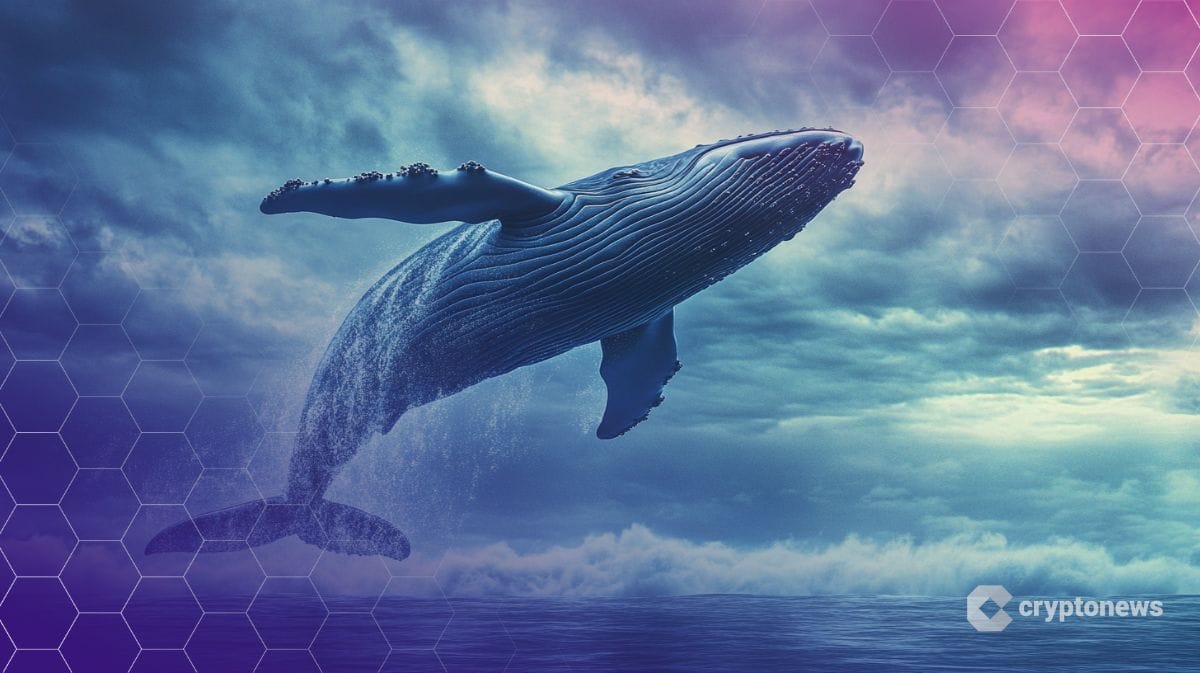 Bitcoin Whale Wallets Surge to 4-Month High as Over 60 New Holders Emerge