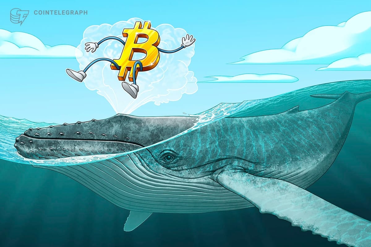 Bitcoin whales absorb 300% of newly mined BTC supply — Is $100K next?