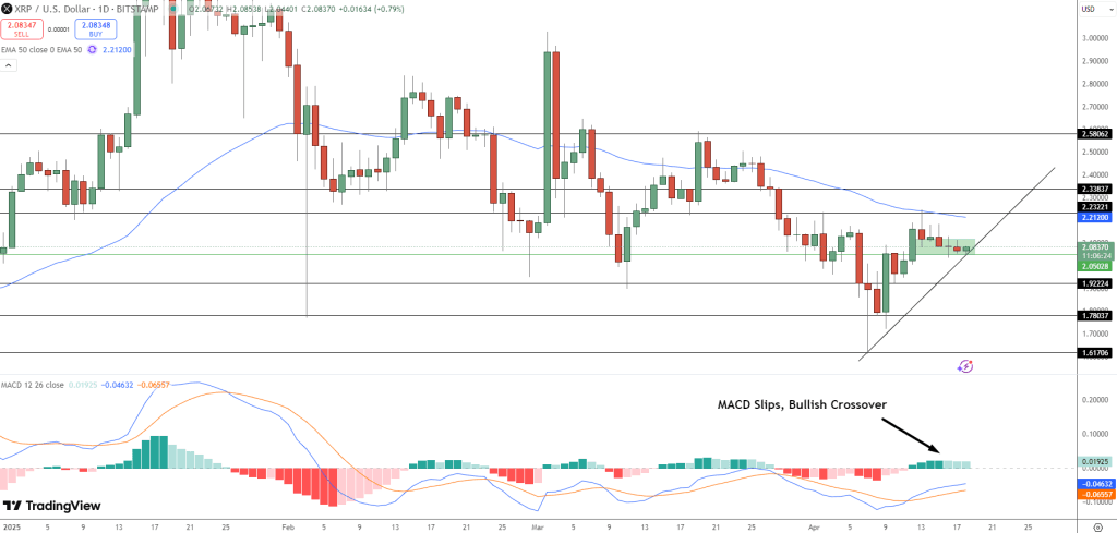Is XRP About to Break Out? MACD Flip Sparks Fresh Bullish Speculation